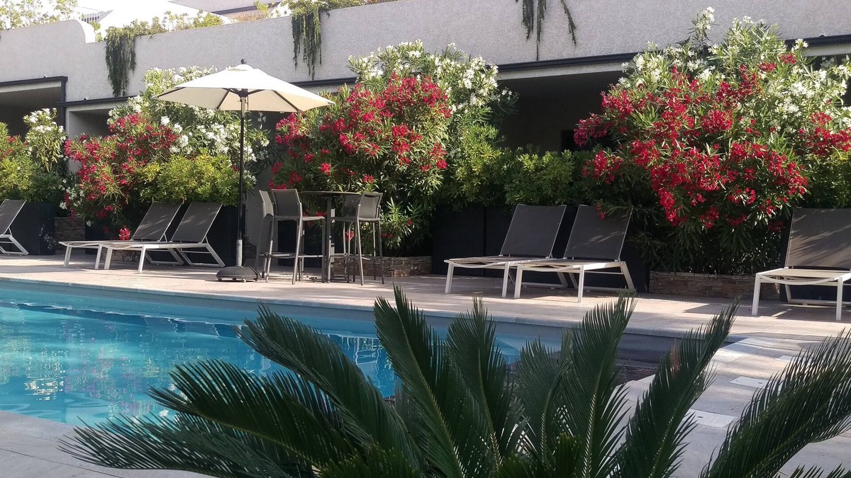 Vardiola Apartment | Residence 4 * Apartment 2 to 4 people - Heated swimming pool, tennis, pétanque.