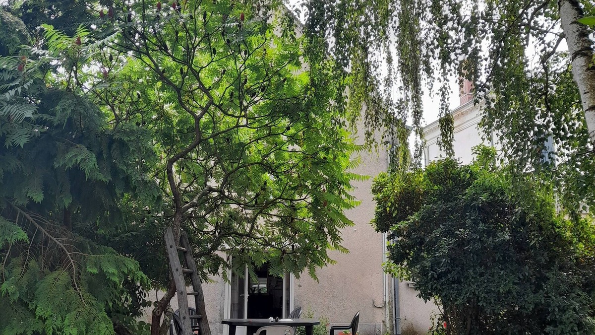 Villentrois House | A 15mn du Zoo de Beauval, Maison Avec Jardin Idéale Pour les Familles