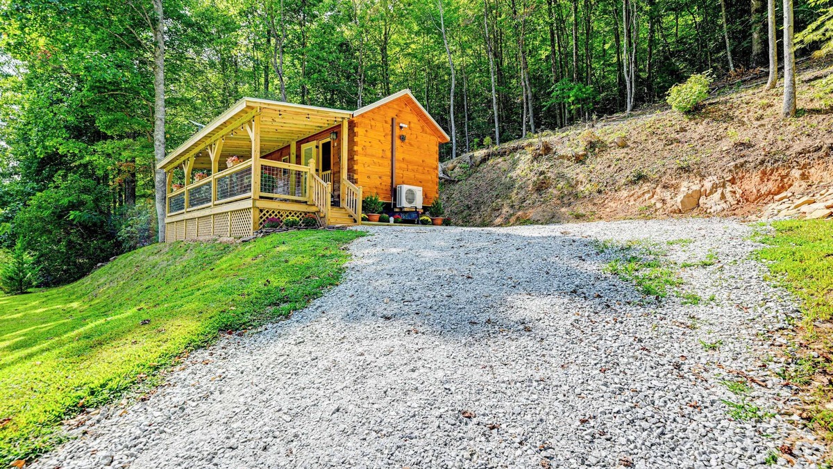 Franklin Cabin | Franklin Cabin w/Creek Access: Hike & Fish!