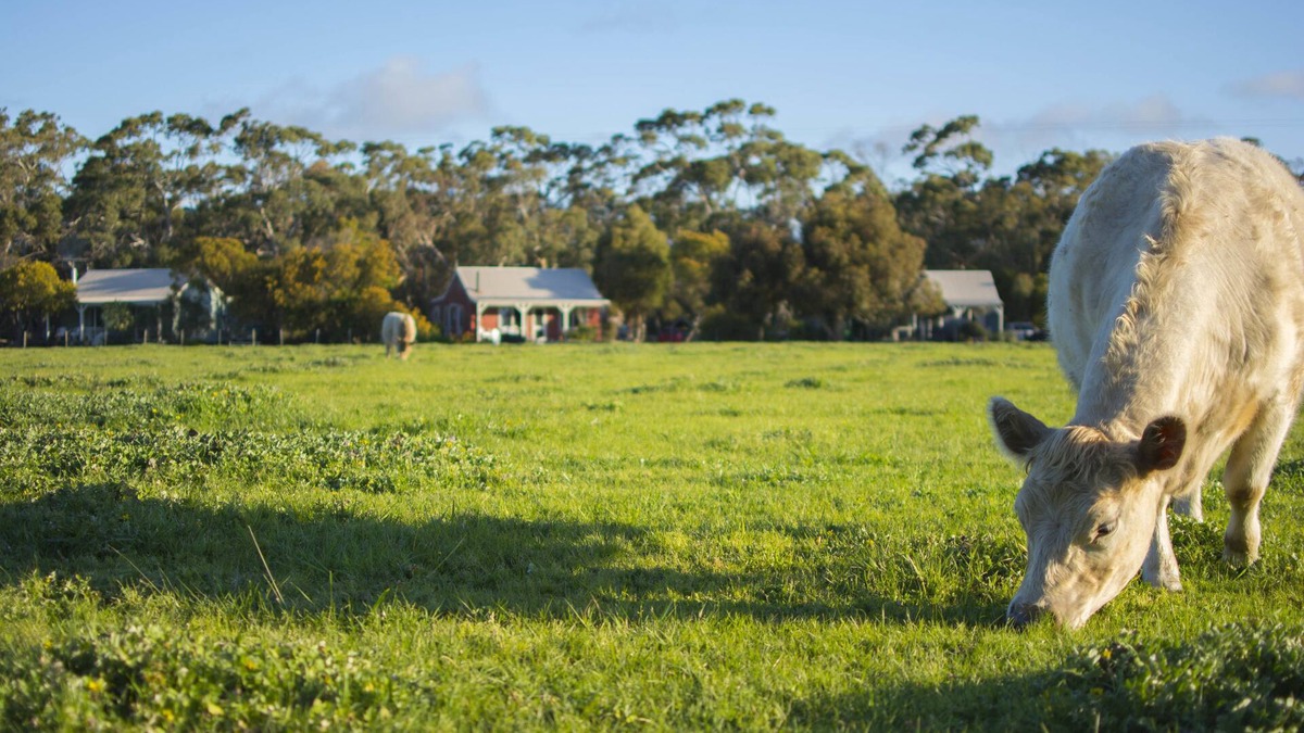 Freshwater Creek Cottage | Freshwater Creek Cottages and Farm Stay