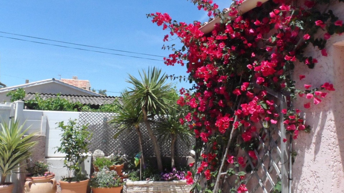 Frontignan House | FRONTIGNAN - Single-storey house of 85 m2 - DIRECT ACCESS BEACH - Internet access