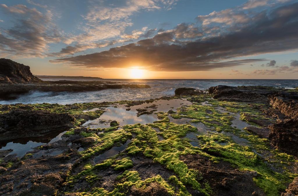 Caleta de Arriba Apartment | Fronton Whale Apartamentos