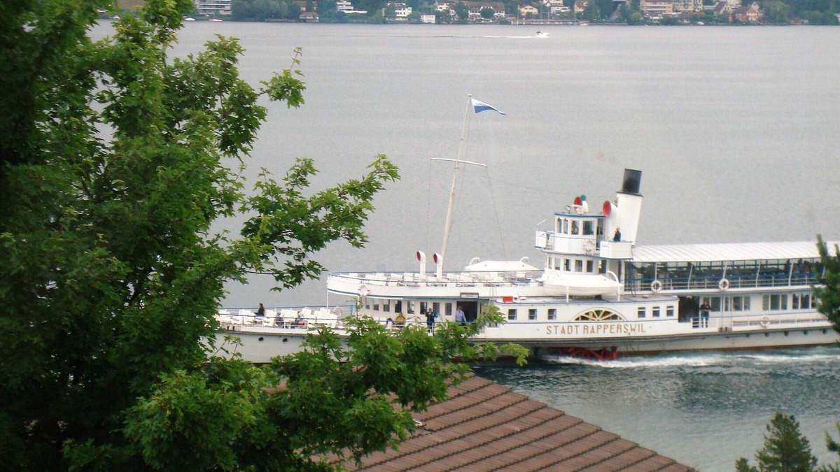 Horgen District Apartment | Fully equipped 2 BR Apartment with Lakeview & Garage, near station