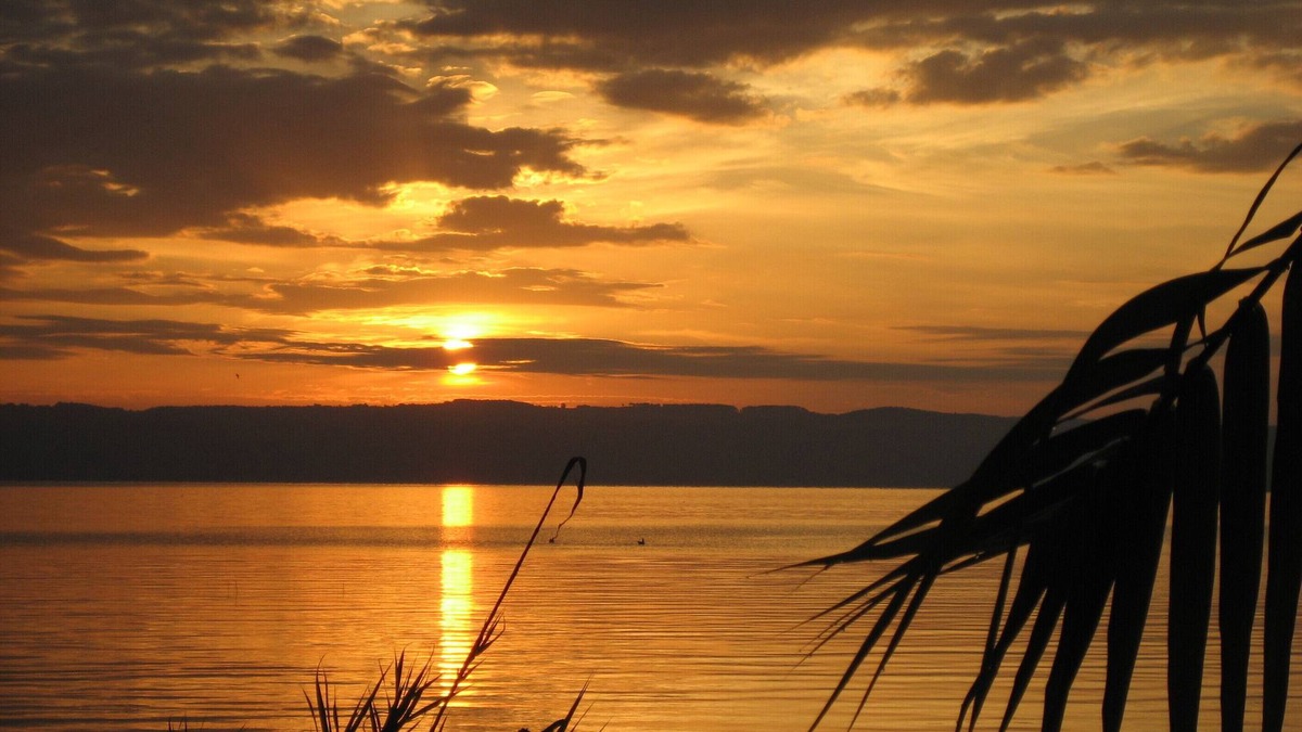 Gradoli House | Fully equipped holiday cottage in front of the Lake, surrounded by olive trees