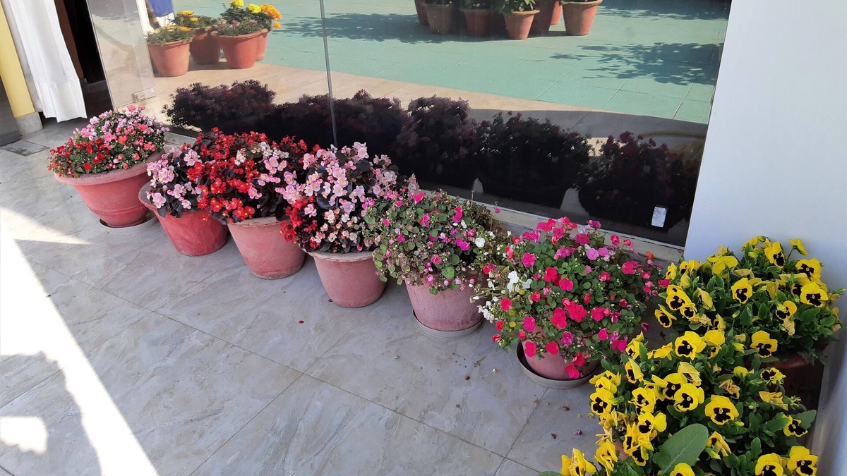 Gomti Nagar Villa | Fully Furnished 1BHK, Unit SA2 for families - room, lobby, kitchen, bathroom