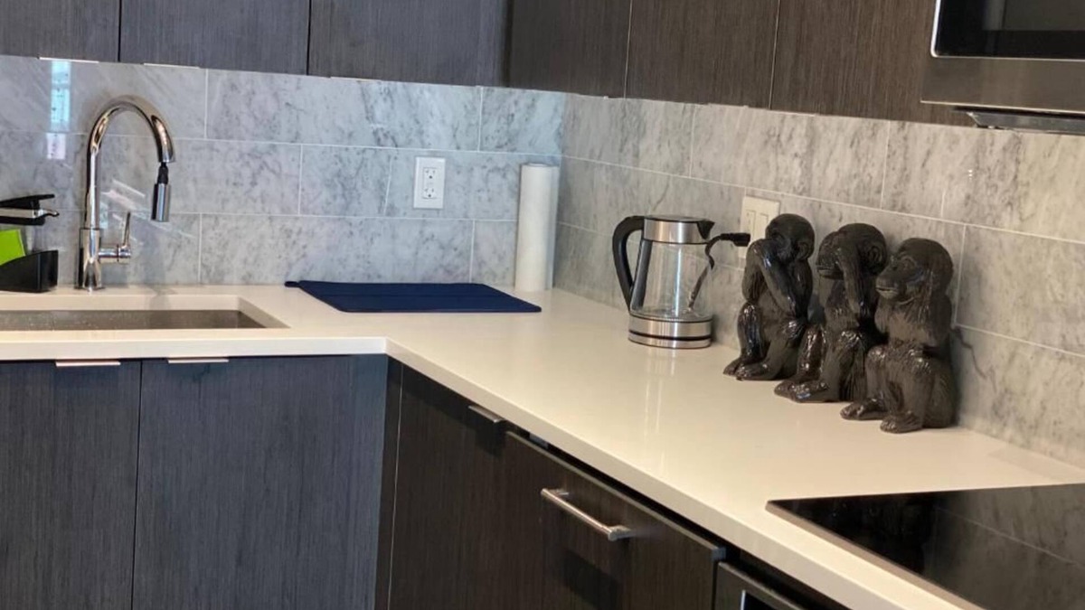 Fort York Condo | Fully Furnished spacious condo unit