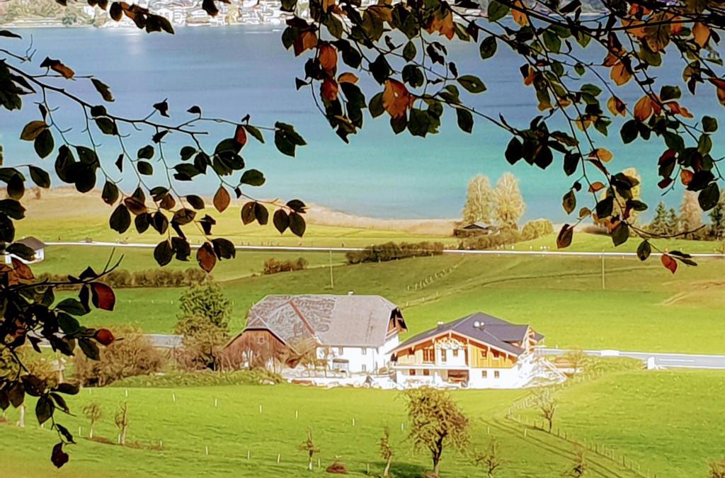 Gschwendt Apartment | Fumerhof