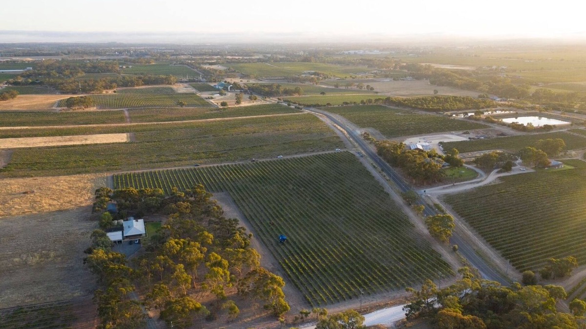 Stone Well House | Furche Barossa 5 bed Stay: Vineyards and Fireplace