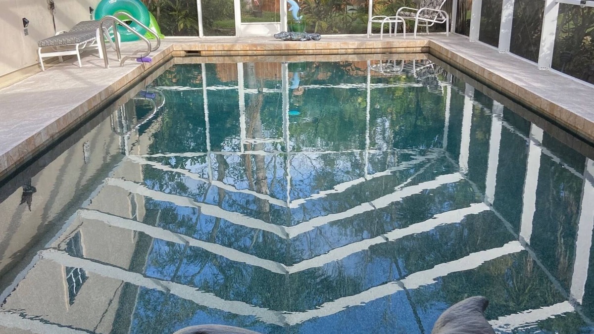 Braden River House | Furnished 2BR/2Bath Pool home fenced in yard