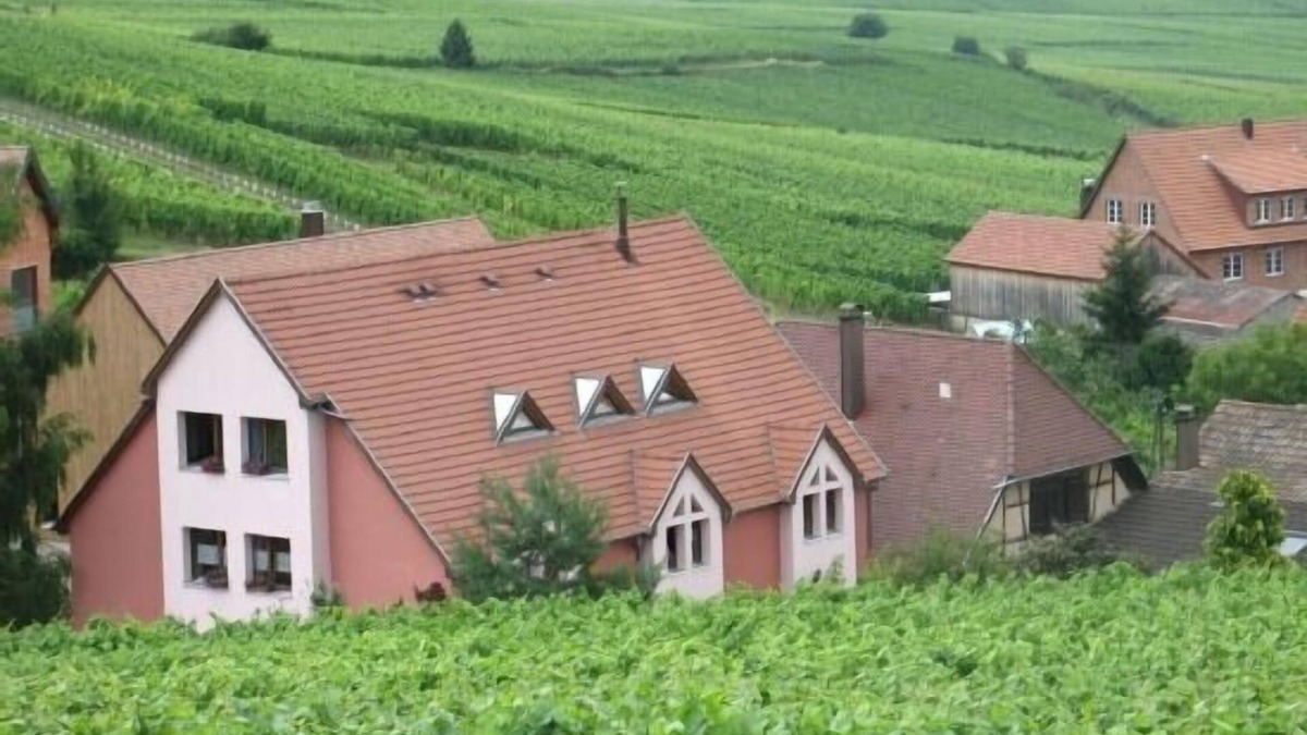 Hunawihr Cottage | Gîte Chez Le Vigneron for 4 people
