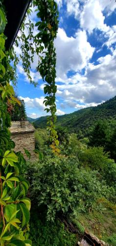 Saint-Privat-de-Vallongue House | Gîte de Combelebouze en Cévennes - Cosy, Confort et Climatisé - 3 étoiles