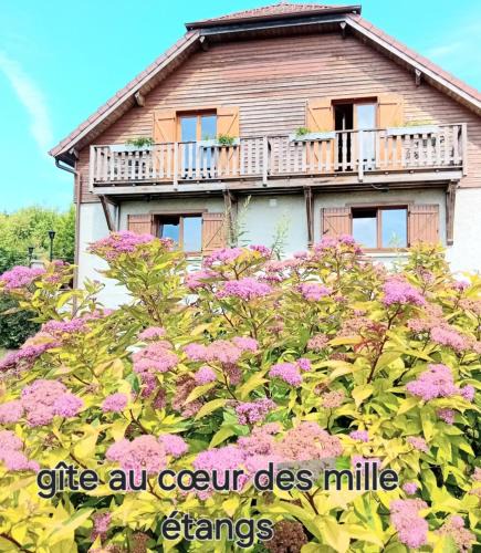 Saint-Bresson House | gîte des 1000 étangs