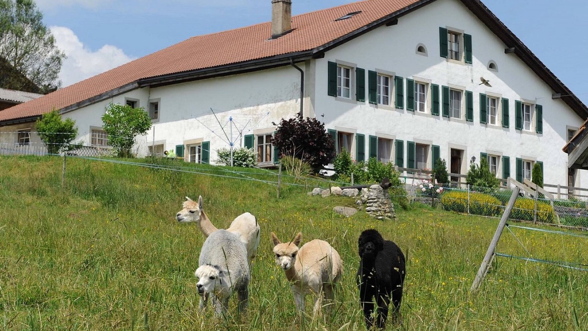 Muriaux Apartment | Gîte - Ferme O'Clés by Interhome
