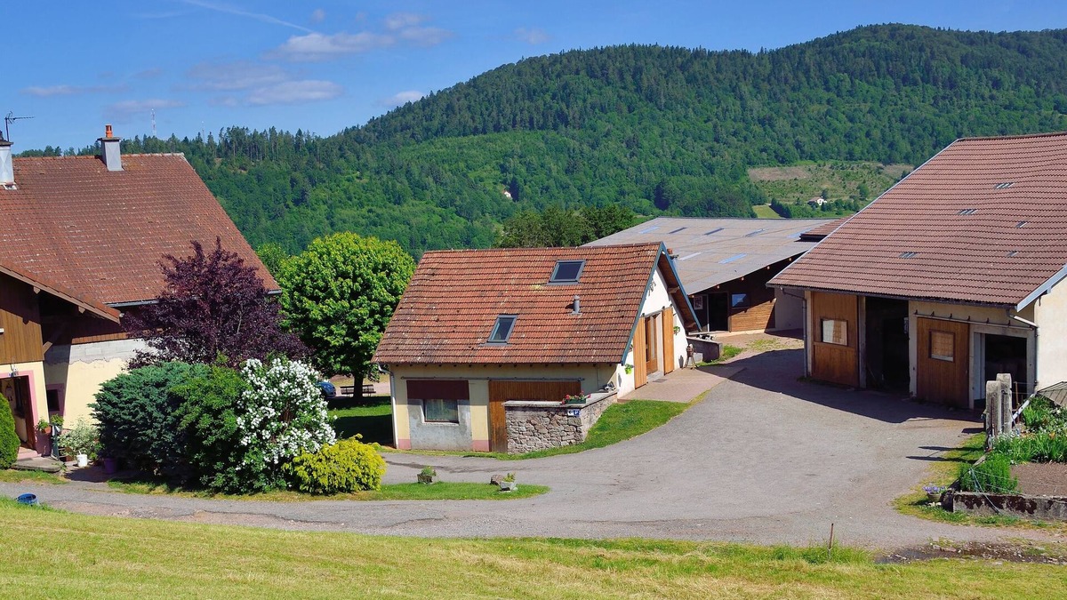 Saint-Maurice-sur-Moselle Apartment | Gîte Dans Ferme Équestre