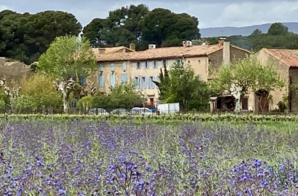 Peyriac-Minervois Apartment | Gîte - Le Relais d'Affiac