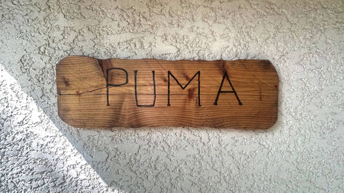 Sonnay House | Gîte Puma Sonnay, Isère