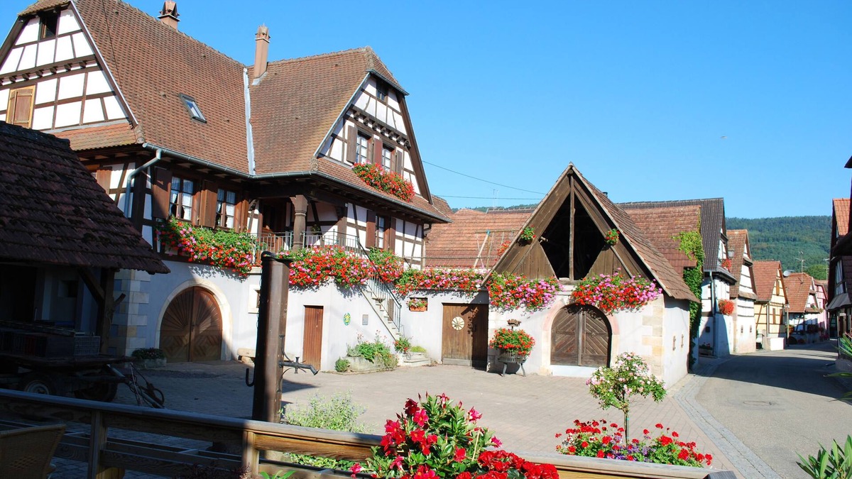 Cleebourg House | Gîte rural Vignoble de Cléebourg