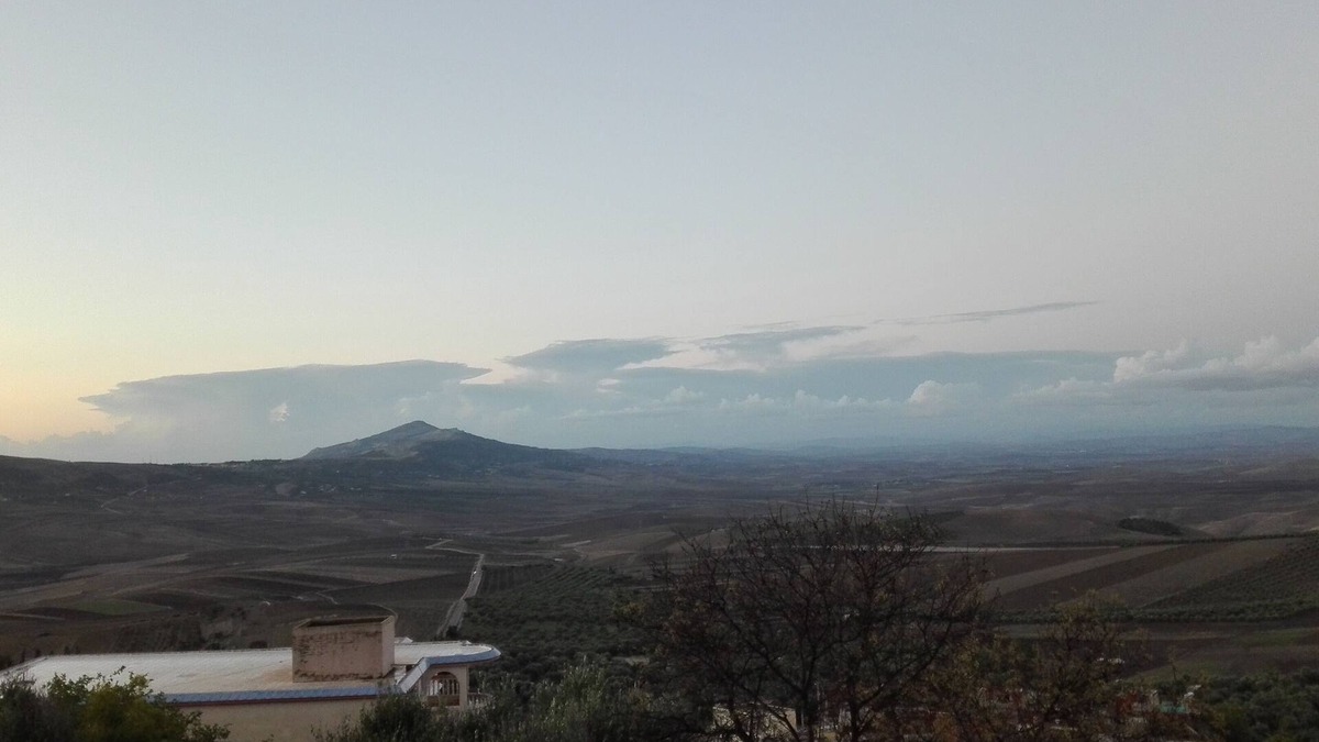 Volubilis House | Gîte zitoun at Noureddine Lgarah in Karmat ben Salem commune oualili (volubilis)