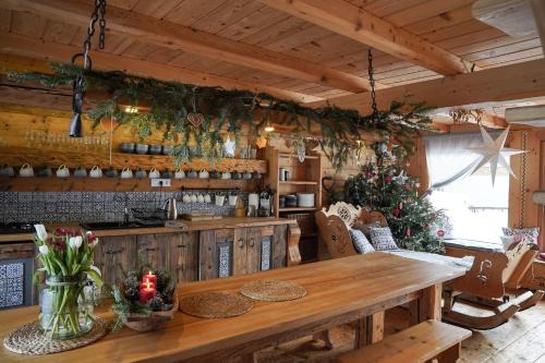 Ochotnica Dolna Apartment | Górna Chata Mountains Chalet