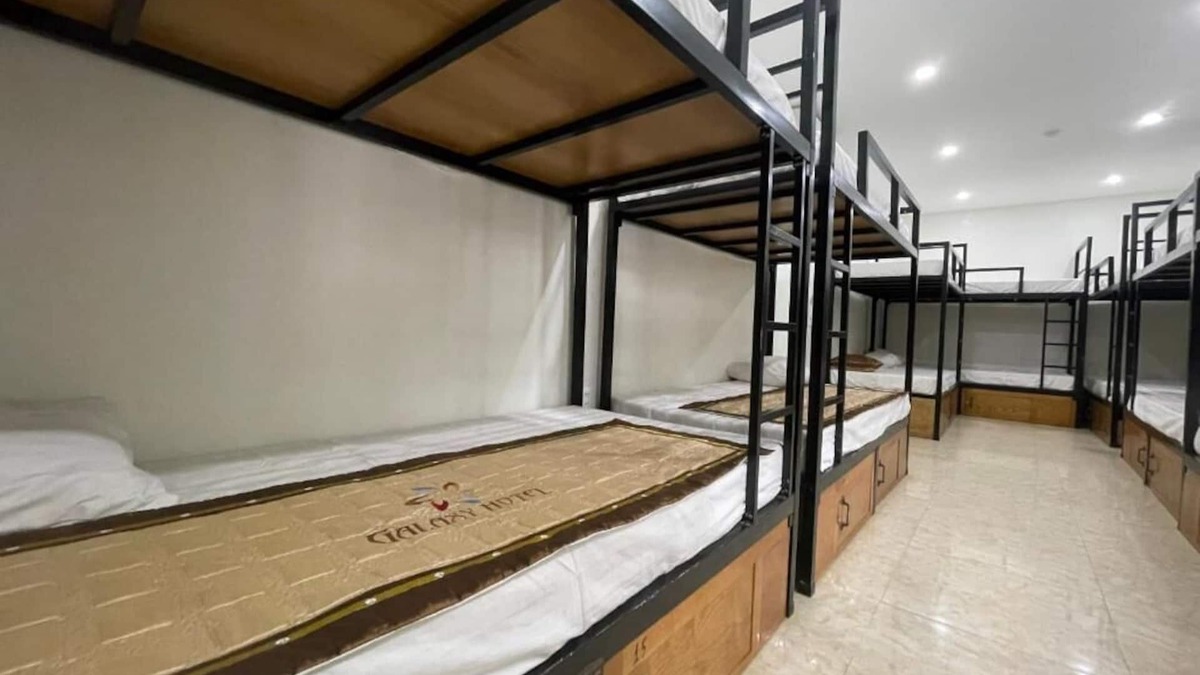 Cat Hai Hotel | Galaxy Cat Ba - Hotel Elite