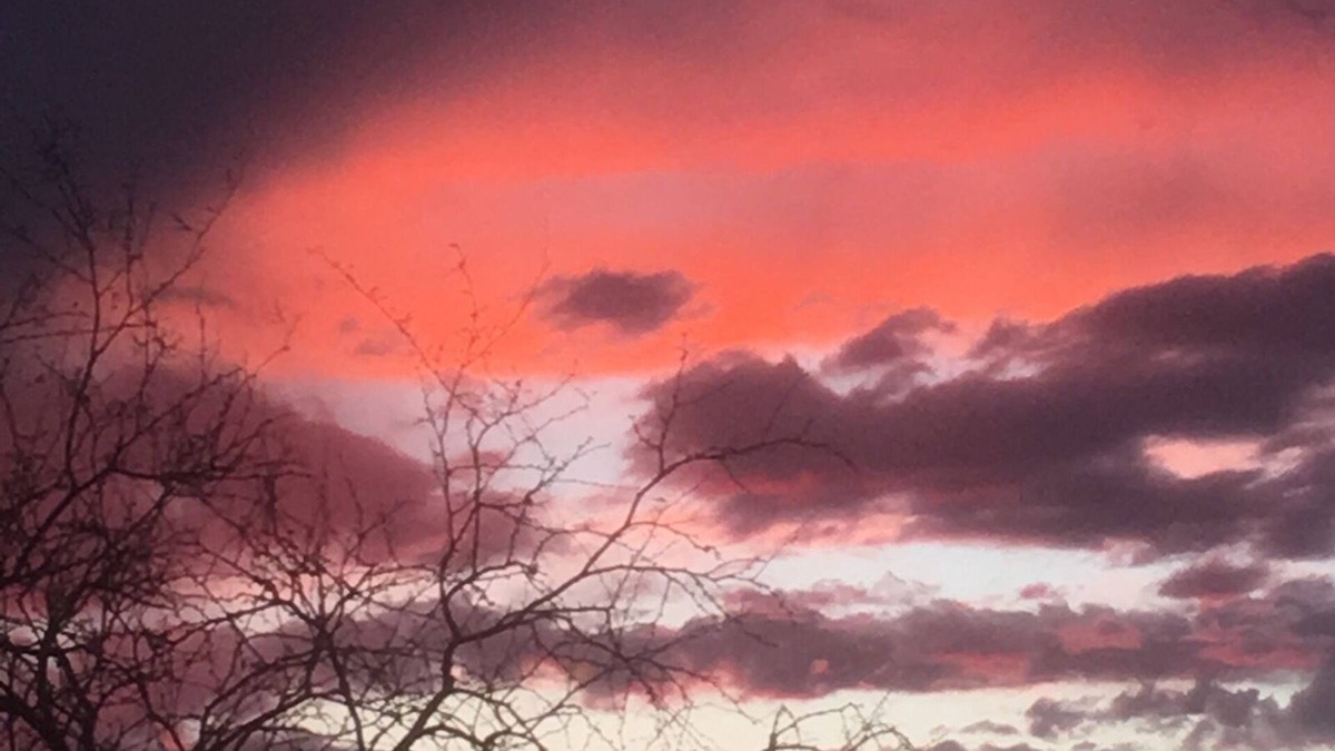 Arivaca House | Gallo Libre Ranch