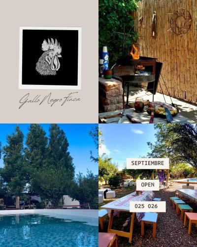 San Juan House | GalloNegro