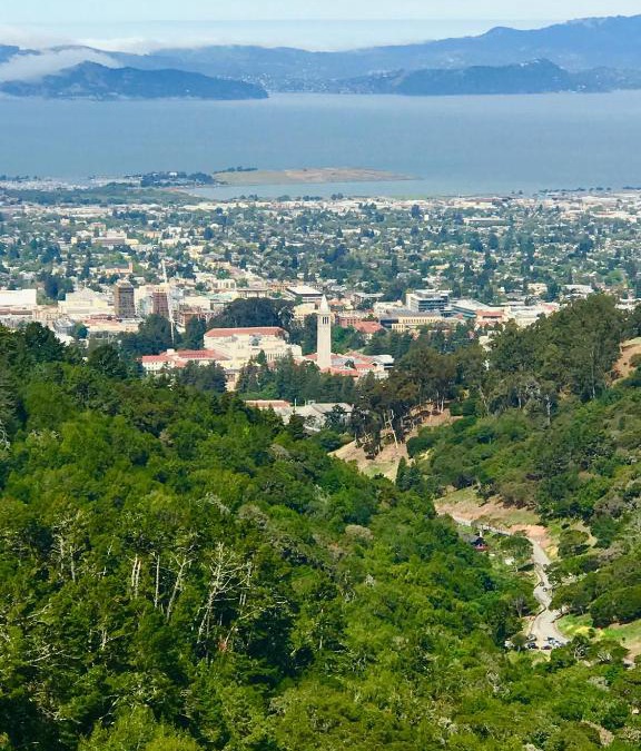 Ocean View and Fourth Street House | Garden Home