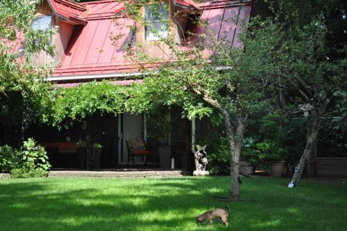 Courtenay House | Garden House
