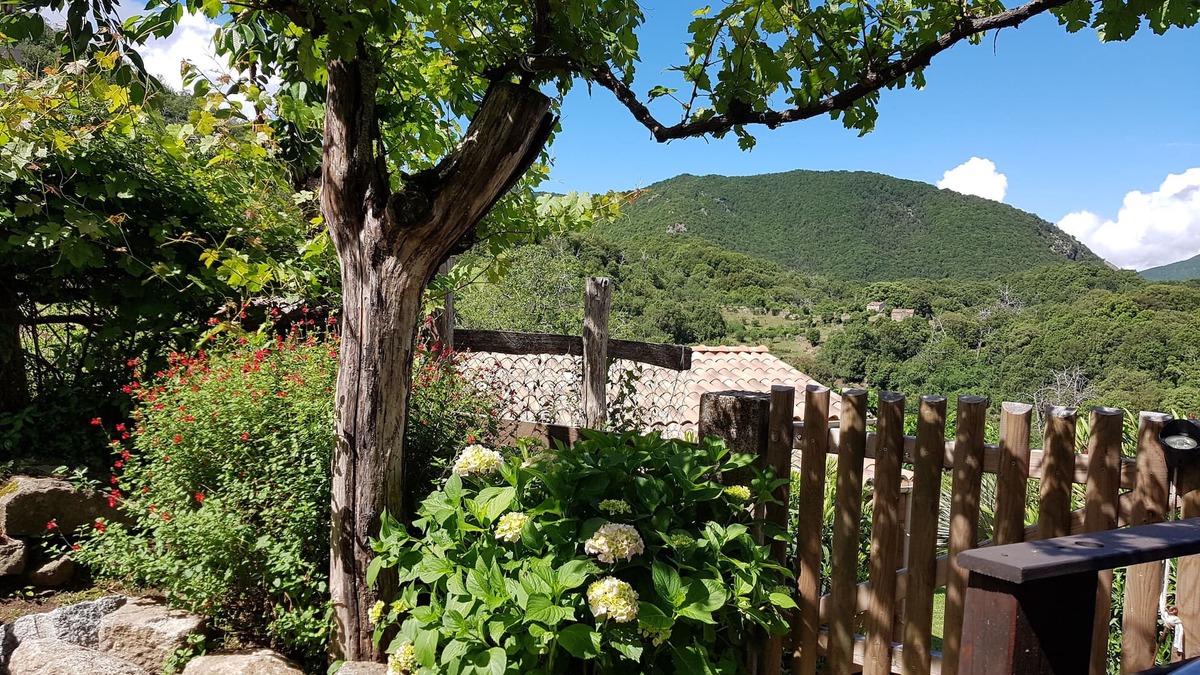 Zicavo House | Garden in the Taravo Valley
