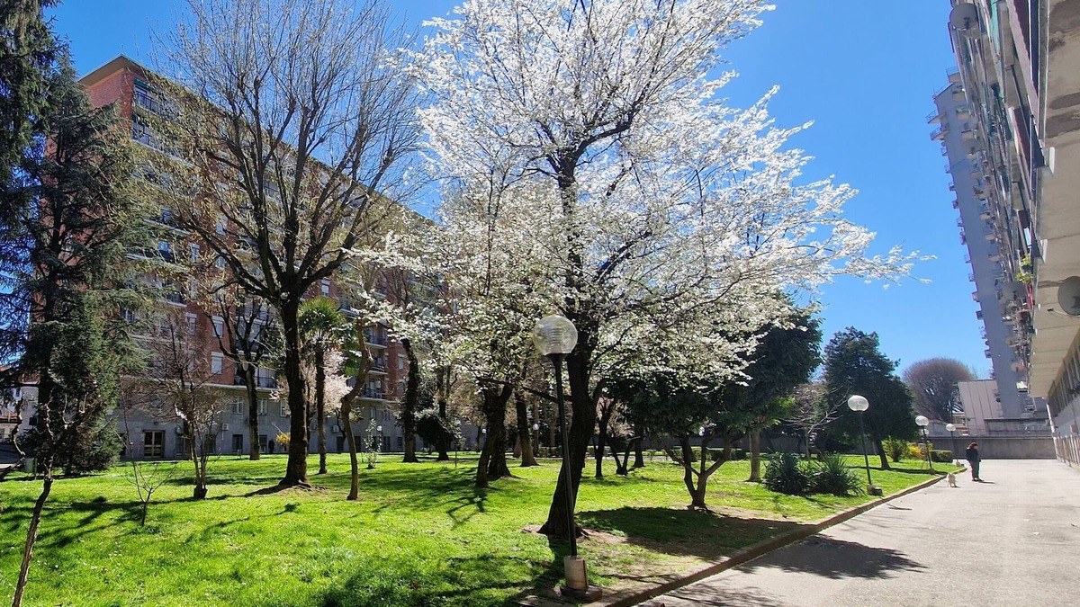 Binda Apartment | Garden on the Naviglio