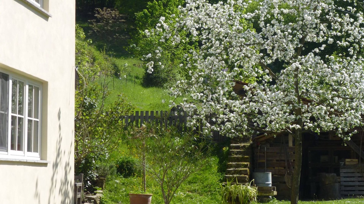 Urbar Apartment | Garden paradise in the Middle Rhine Valley - roses, herbs, estate and garden