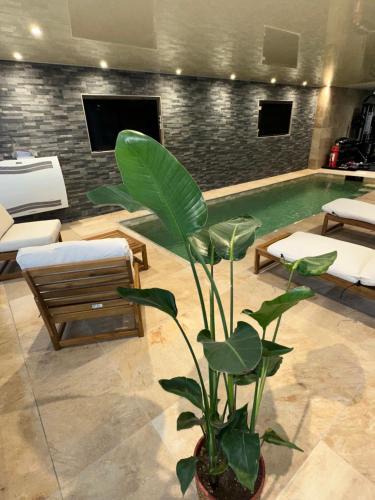 Ostwald Apartment | Garden secret