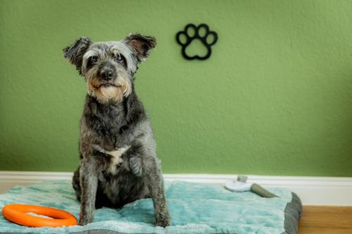 Horumersiel Apartment | Gasthaus Deichkieker - Wo die Nordsee dich umarmt und Erholung beginnt