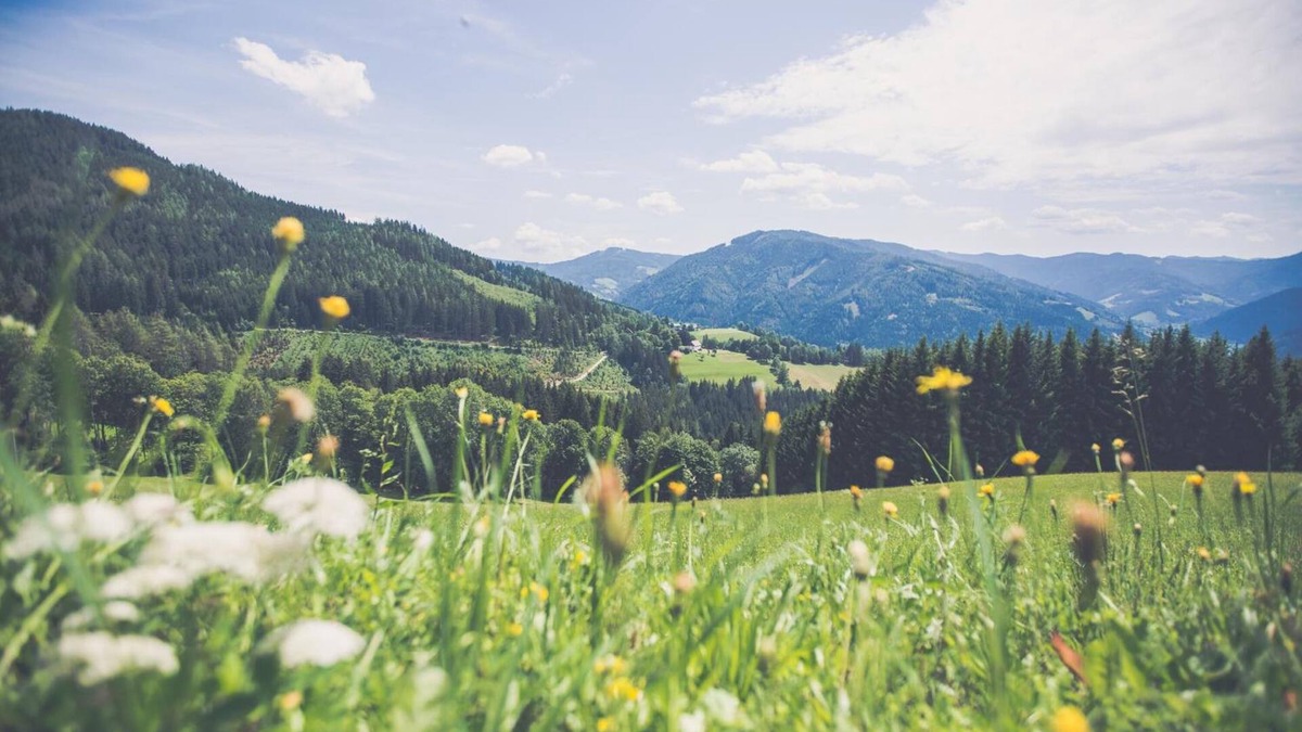 Stanz Im Murztal Hotel | Gasthof Oberer Gesslbauer