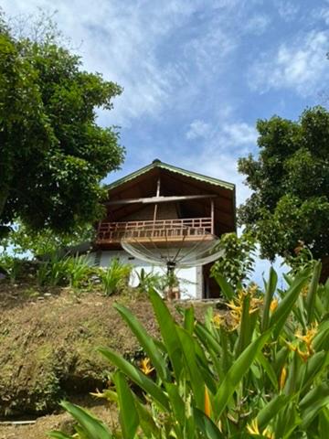 Bohorok Bed & Breakfast | Gate to Nature - guesthouse and jungle trek