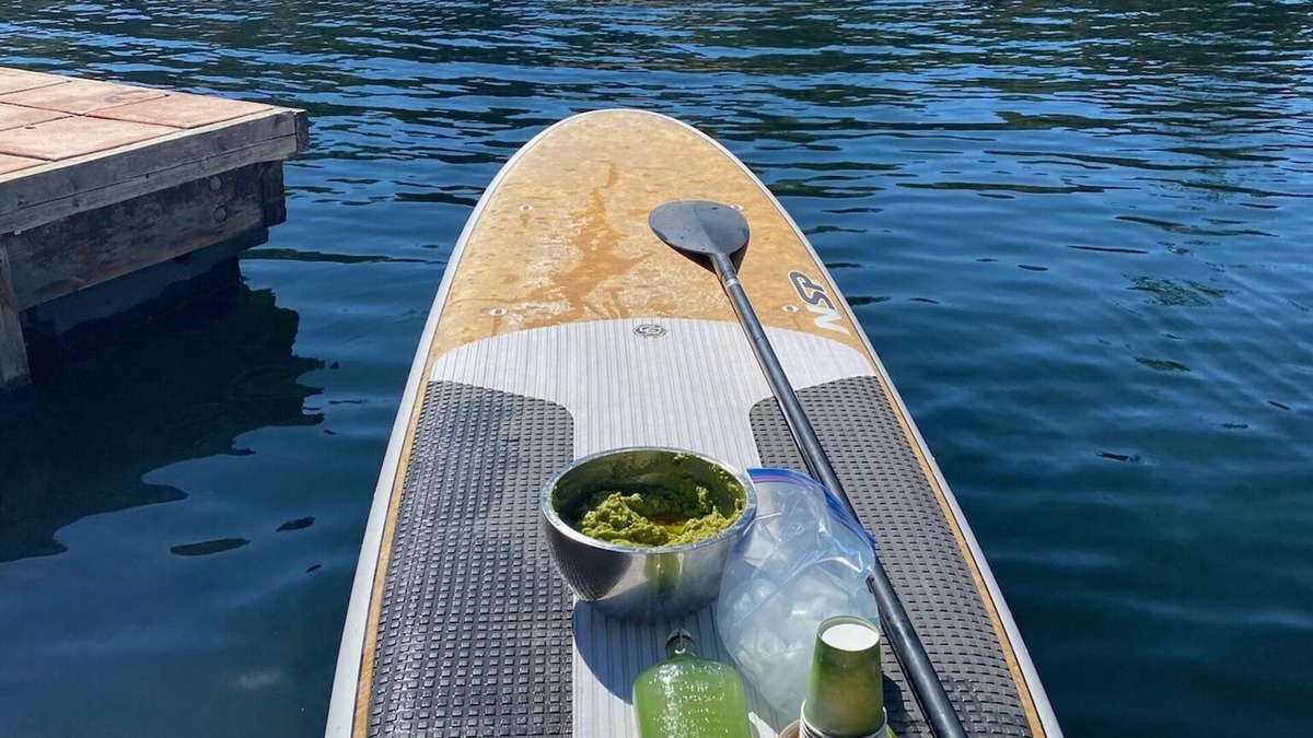 Hopland House | Gather, Connect, Play : Private Nature Retreat
