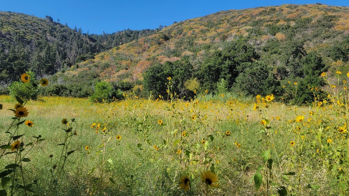 Lake Hughes House | Gather your party for an escape with amazing views, situated on 100+ acres.