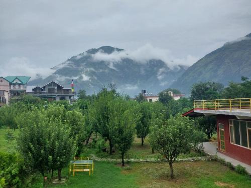 Bhuntar House | Gazing Moon Homestay