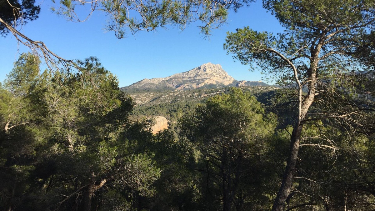 Grand Sud Apartment | gd appart quiet ground floor, parking, countryside 5 km AiX in Provence