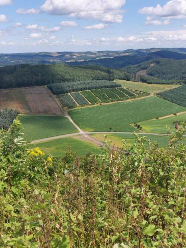 Stockum Apartment | gemütliche Dachgeschoss- Ferienwohnung im Grünen