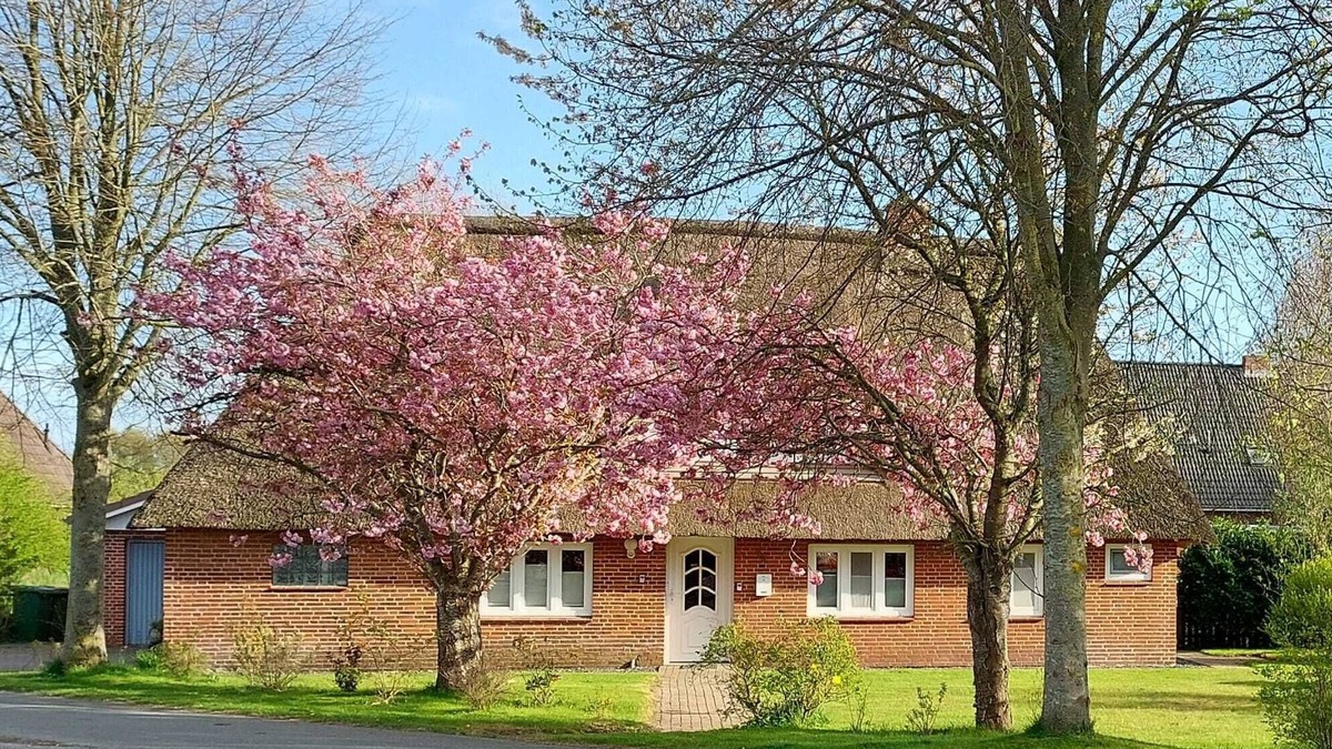 Bordelum Apartment | Gemütliche Ferienwohnung "erholung Unter Reet" in Bordelum/sterdebüll
