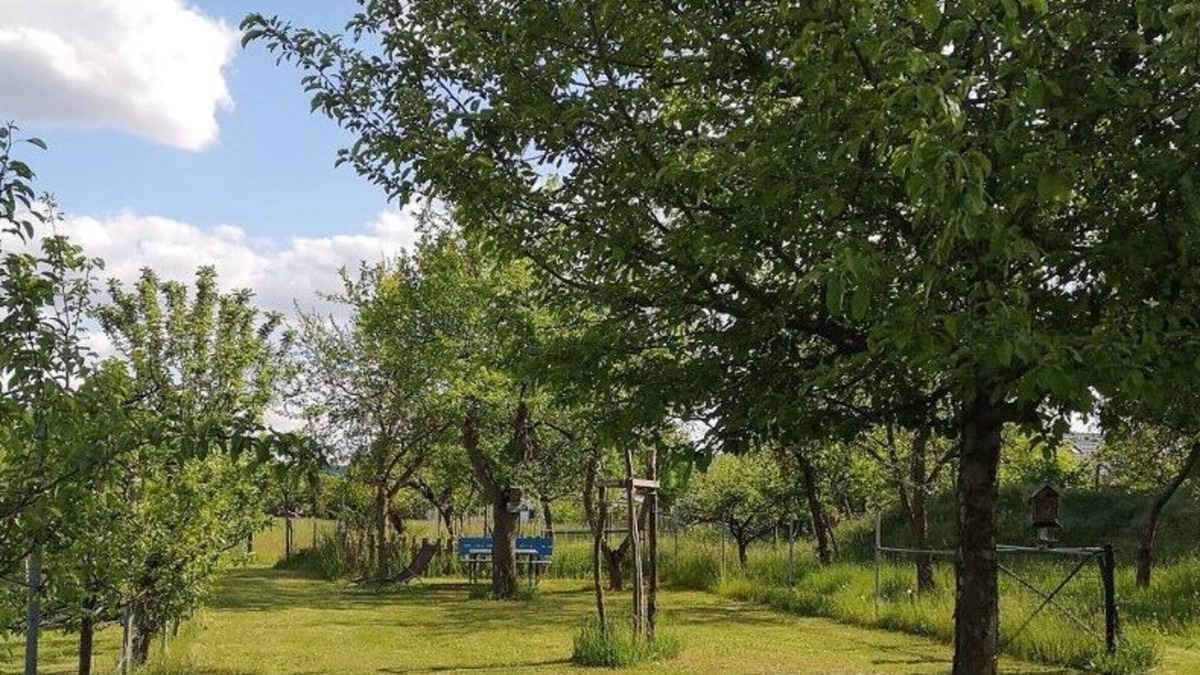 Calau Apartment | Gemütliche Ferienwohnung im Vogelhaus mit Dachterasse, Großem Garten und Sauna