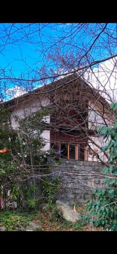Biasca Apartment | Gemütliche Gartenwohnung im Tessin, 70 qm