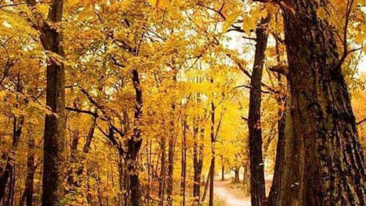 Lancaster Cabin | Gentle Breeze Campground
