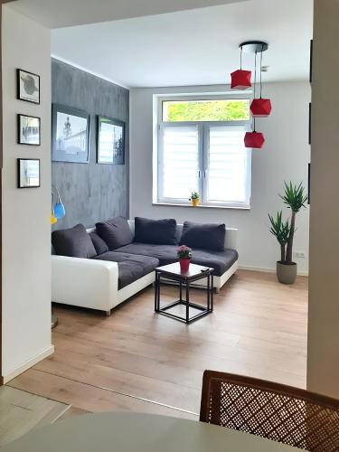 Dohna Apartment | Geräumige moderne 3 Raumwohnung