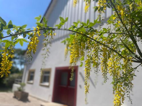Halle Apartment | geräumige Wohnung mit Terrasse