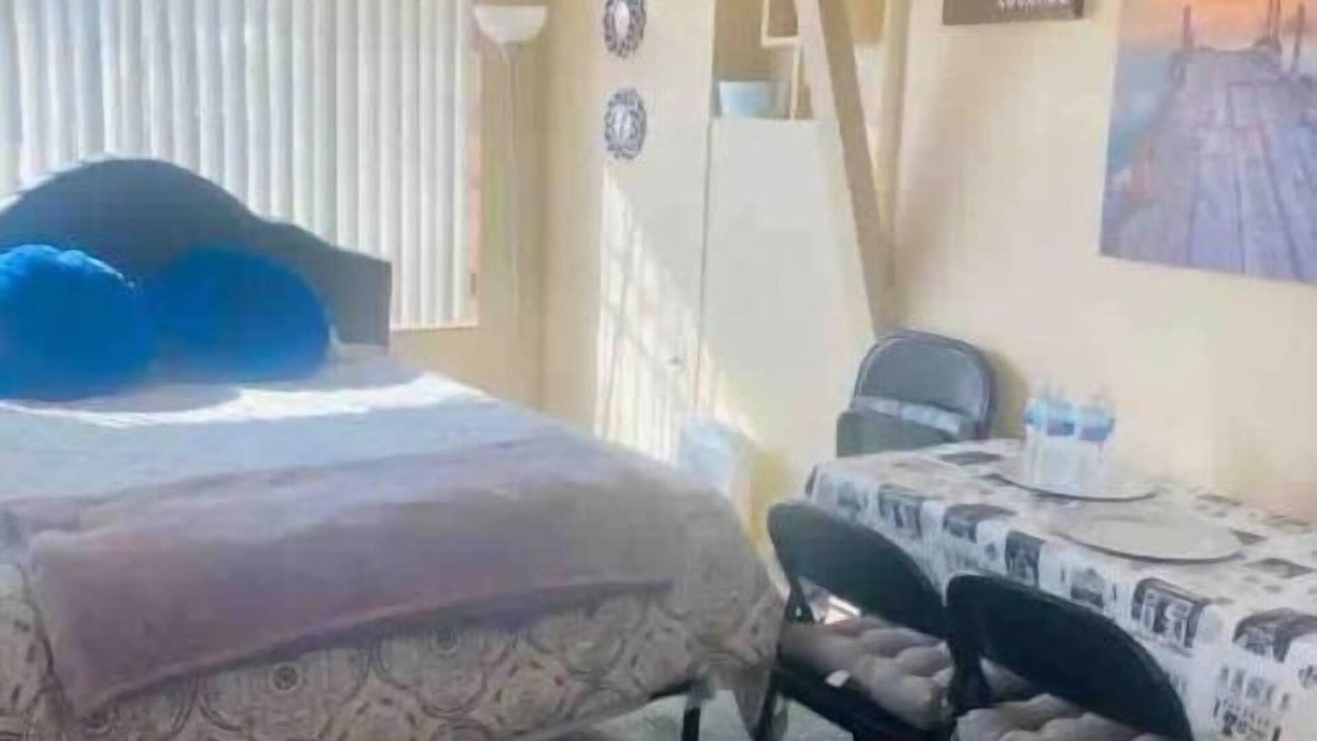 Timberwolf House | Get a Great Nights Sleep | Complete Mini Studio