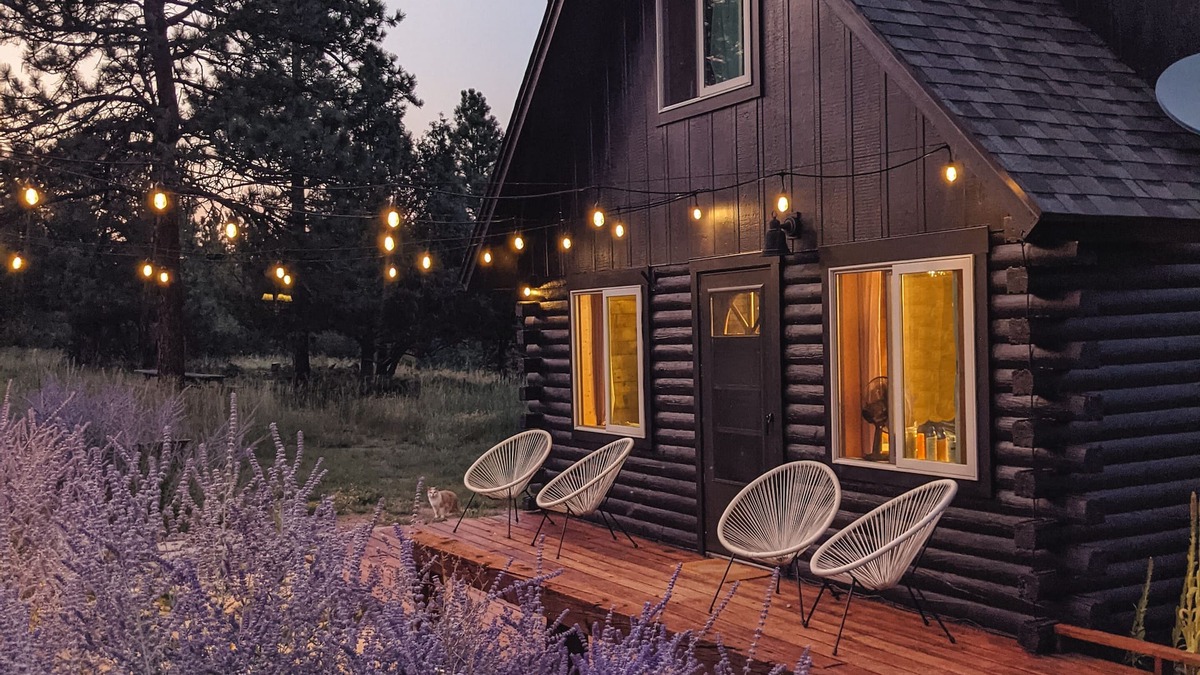 Howard Cabin | Get Away From it All at Whiskey Rapids! Dog Friendly!