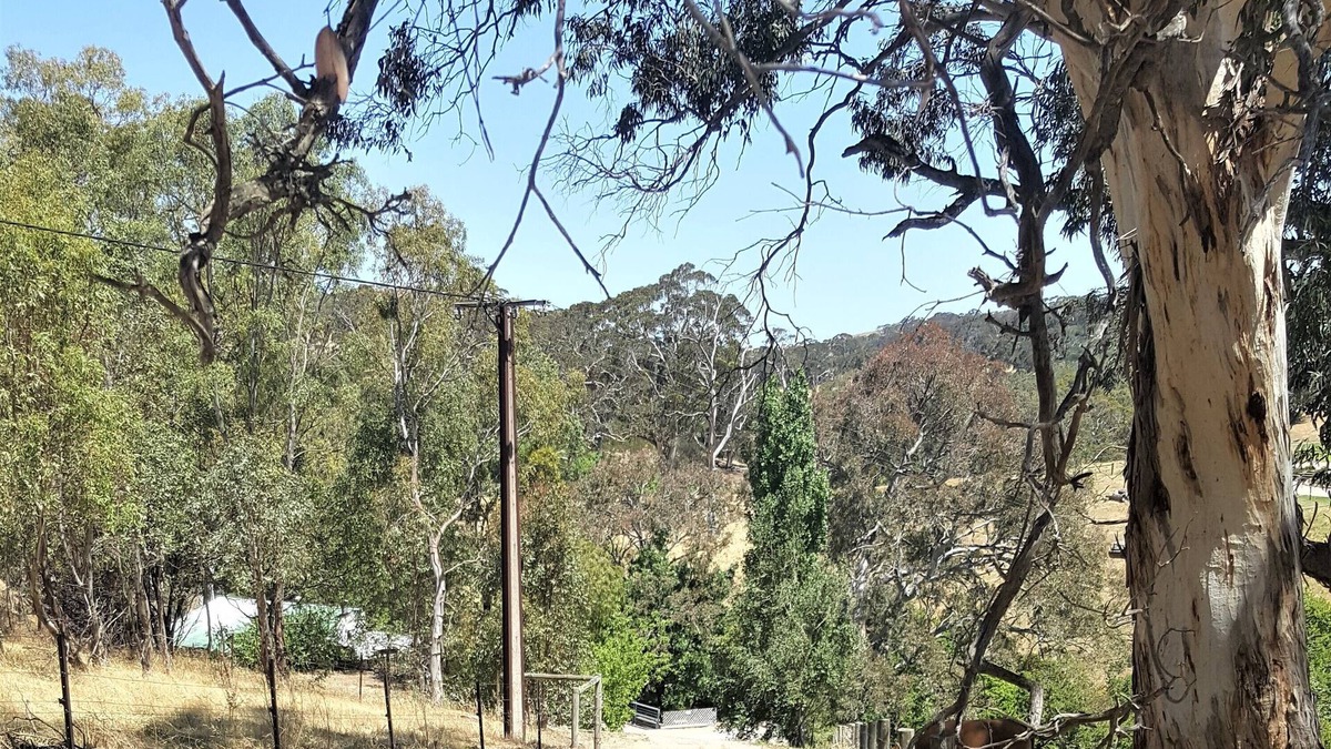 Macclesfield Cottage | "Get away from the world for a while"