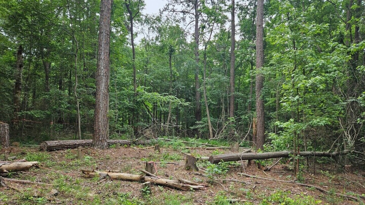 Appling RV Rental | Get Away in a private full 1acre lot in the Columbia County city of Appling.